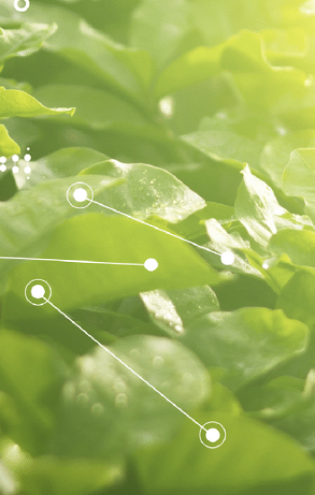 Biotechnologie&environnement